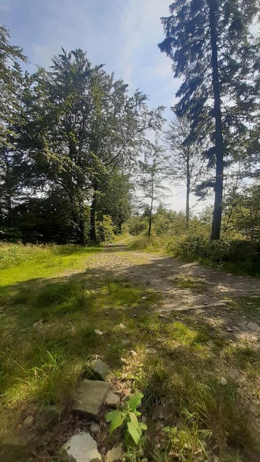 Apartmán Apartament Spacerowo-Rowerowy Kamieniolom Kozy 60M2 Kozy Wielkie Exteriér fotografie